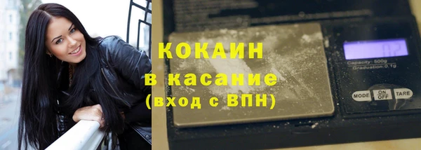 прущие грибы Мегион