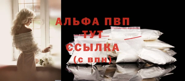 прущие грибы Мегион
