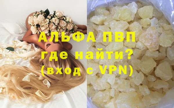 прущие грибы Мегион