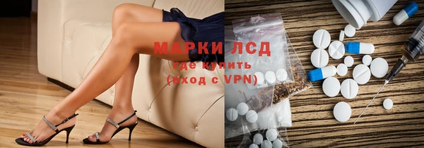 сатива Медногорск