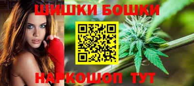 спиды Гай