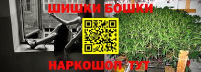 спиды Гай