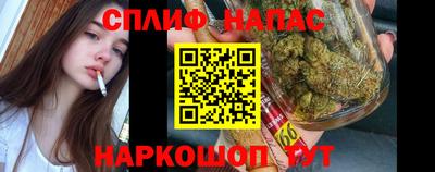 МДМА Гатчина