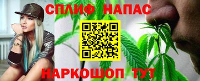 спиды Гай
