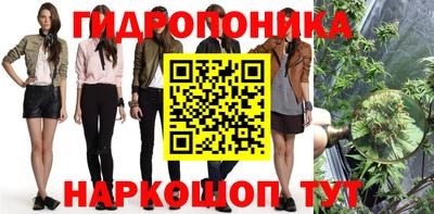 PSILOCYBIN Абакан