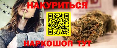 спиды Гай