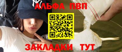 спиды Гай