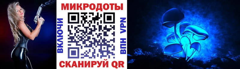 Галлюциногенные грибы Cubensis  где можно купить наркотик  Майский 