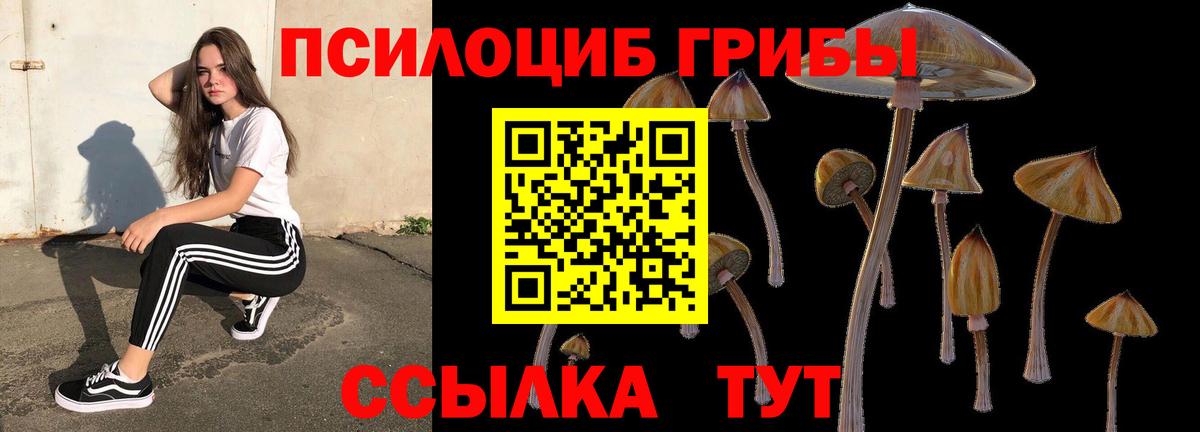Псилоцибиновые грибы MAGIC MUSHROOMS  Вход с VPN  Галлюциногенные грибы Magic Shrooms  Майский 