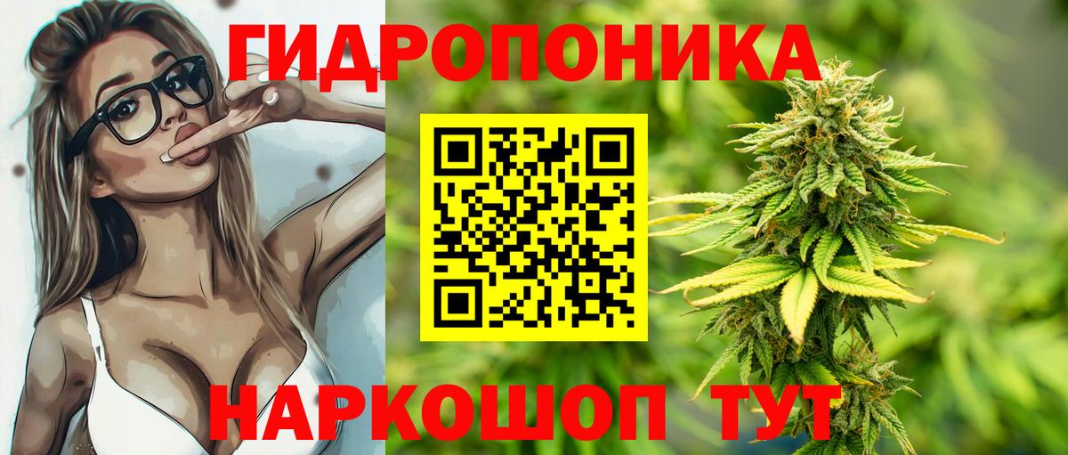 Бошки Шишки MAZAR Майский